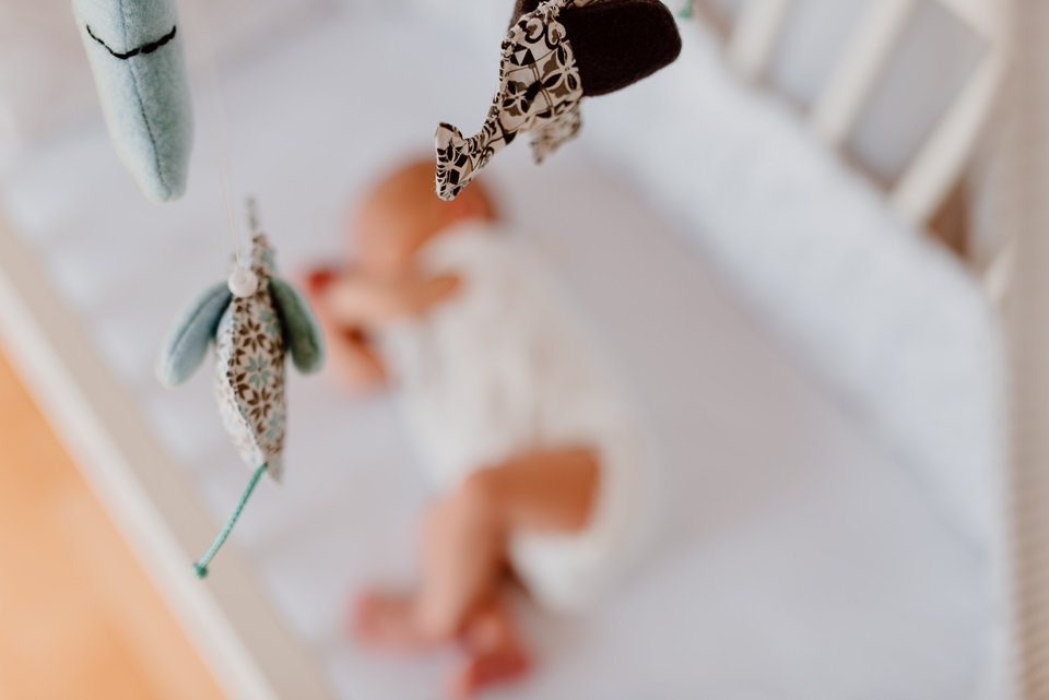 Noah Babyshooting Solingen
