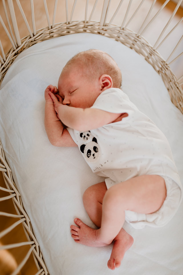 Noah Babyshooting Solingen