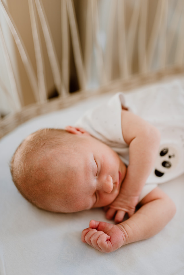 Noah Babyshooting Solingen
